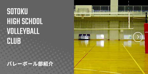 バレーボール部紹介